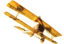 Foto: Fotolia/crimson