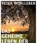 Cover Das geheime Leben der Bäume