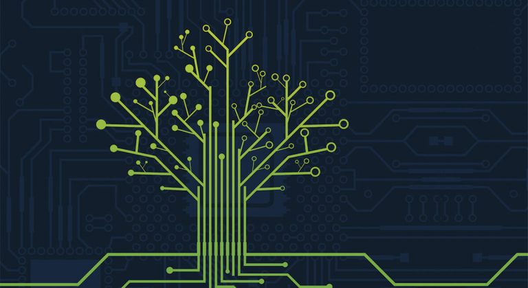 Digitale Transformation? Aber bitte nachhaltig!