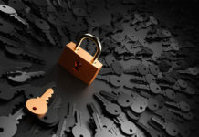 Foto: AdobeStock / tostphoto