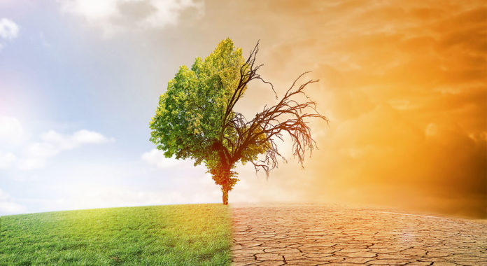 Kanzlei Nachhaltigkeit Klimawandel, Foto: AdobeStock/ jozsitoeroe
