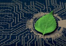 Grüne IT ist Klimaschutz, Foto: AdobeStock/ peach_fotolia