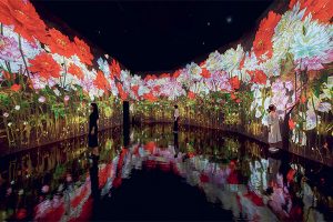 Proliferating Immense Life, 2020, Interactive Digital Installation, Foto: teamLab