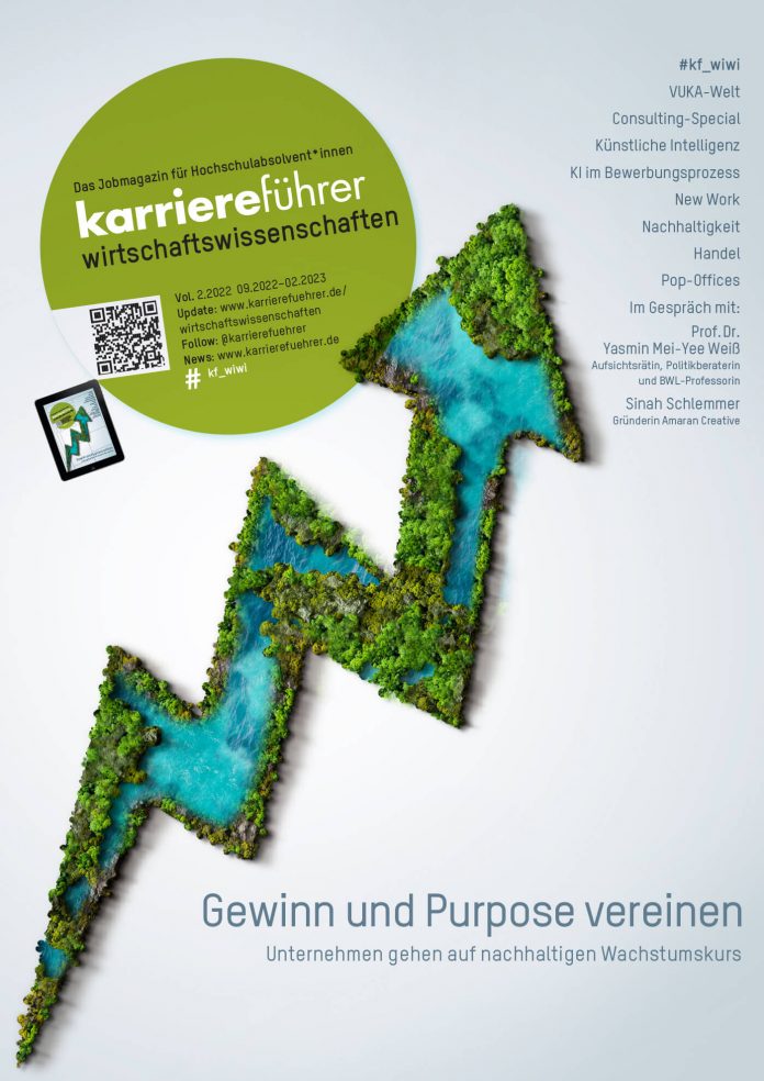 Cover karriereführer wirtschaftswissenschaften 2-22