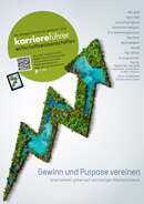 karriereführer wirtschaftswissenschaften