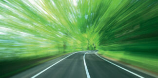 Foto: AdobeStock/Paylessimages