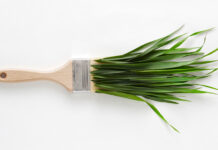 Green Washing, Foto: AdobeStock/ Goncharuk film