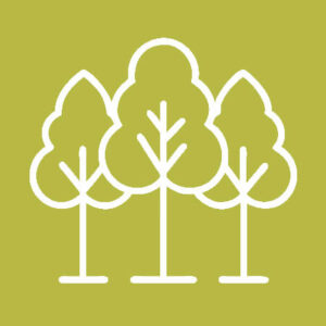 Foto: AdobeStock/IsratJahan