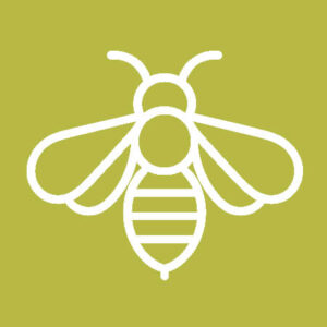 Foto: AdobeStock/Zaleman