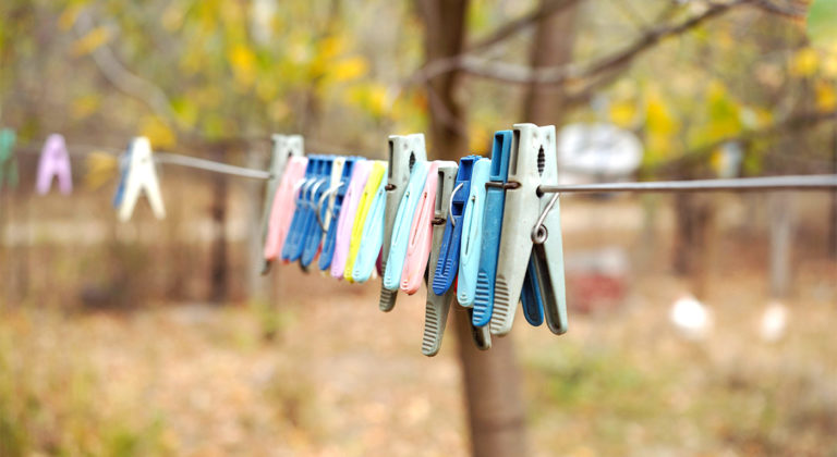 Der Diversity Manager