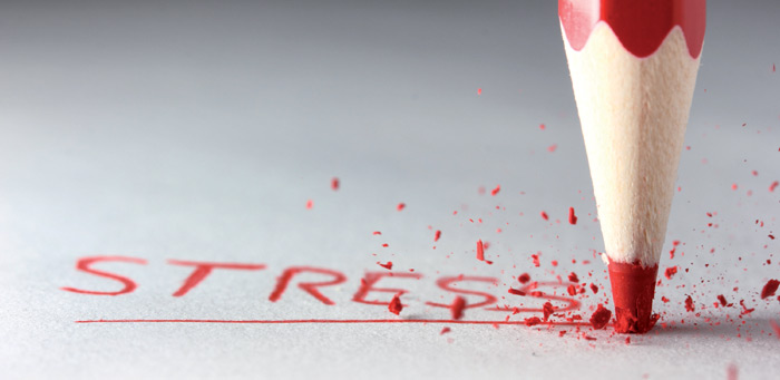 Emotionale Kompetenz gefragt