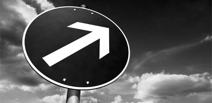 Blickpunkt: Neugier-Management