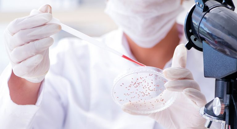 Im Dienst der Krebsforschung