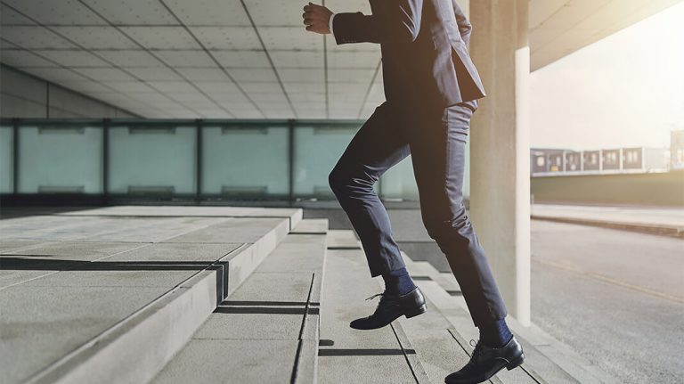 Schritt für Schritt zum Wirtschaftsprüfer