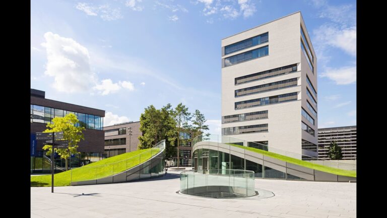 Universitätsstudium an der TUM School of Management in Heilbronn