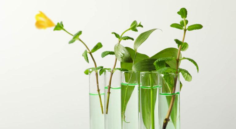 Jetzt startet die Dekade der Naturwissenschaften