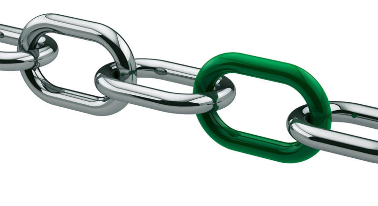 Teil eines Profi-Teams