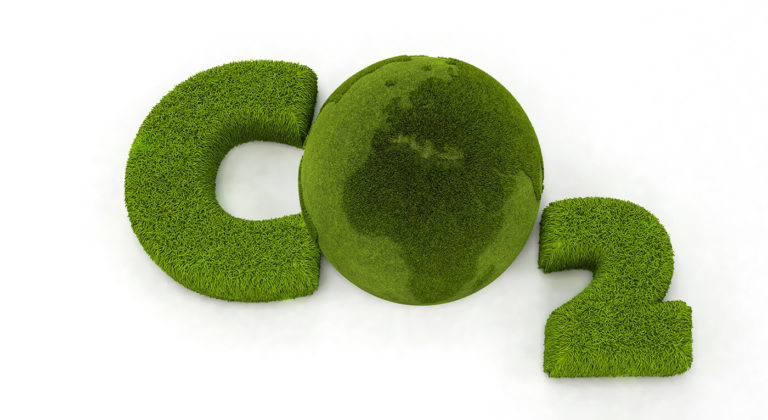 55 Projekte für die Klimaneutralität