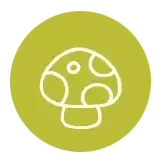 Foto: AdobeStock/Aletheia Shade